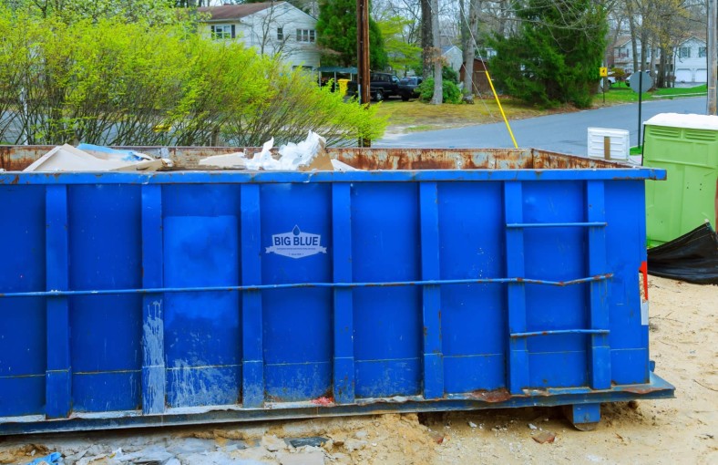 Budget-Friendly Dumpster Services in The Villages, FL