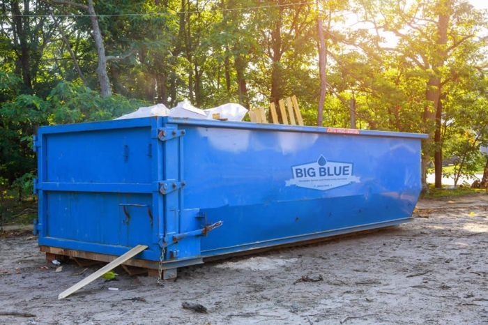 Budget-Friendly Dumpster Services in Dunnellon, FL