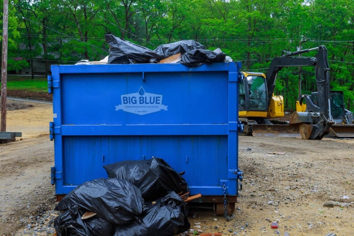 Budget-Friendly Dumpster Services in Pine Ridge, FL